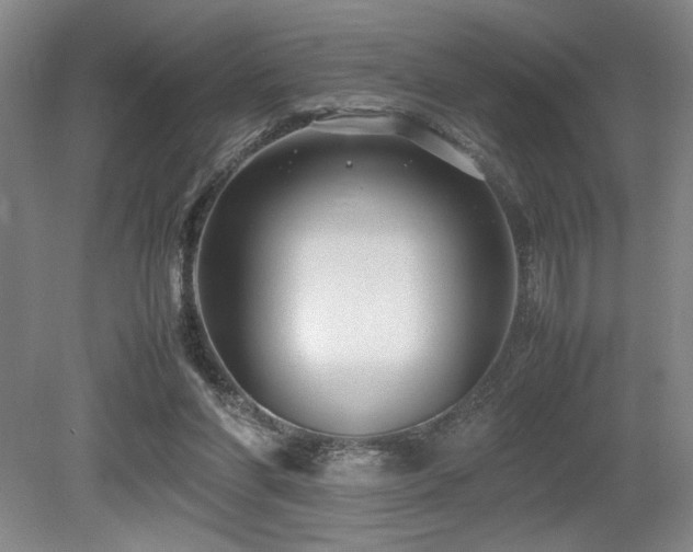 X0000079320206200611171132