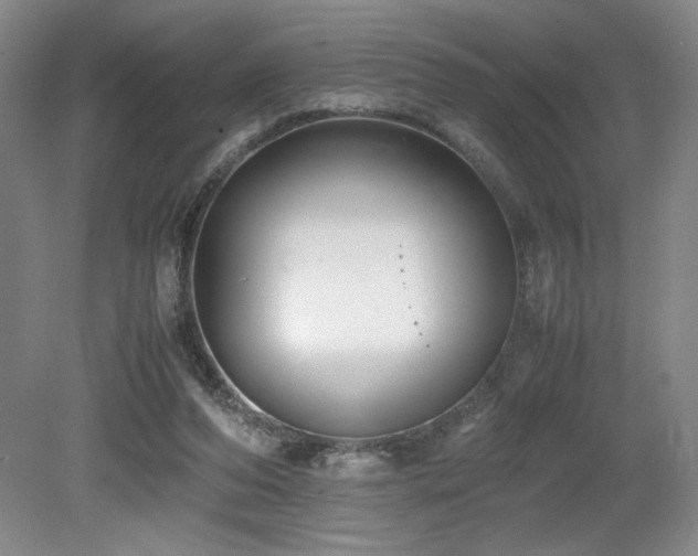 X0000079320208200611171131