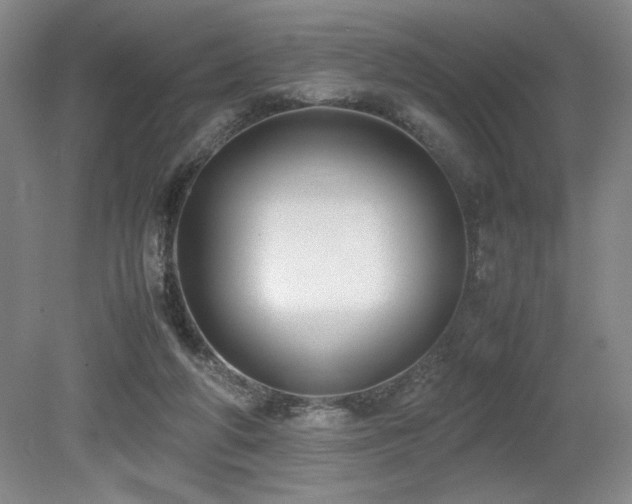 X0000079320210200611171131