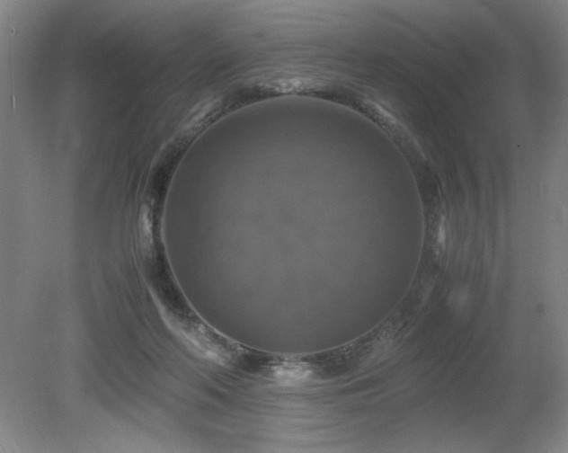 X0000079320214200611171131