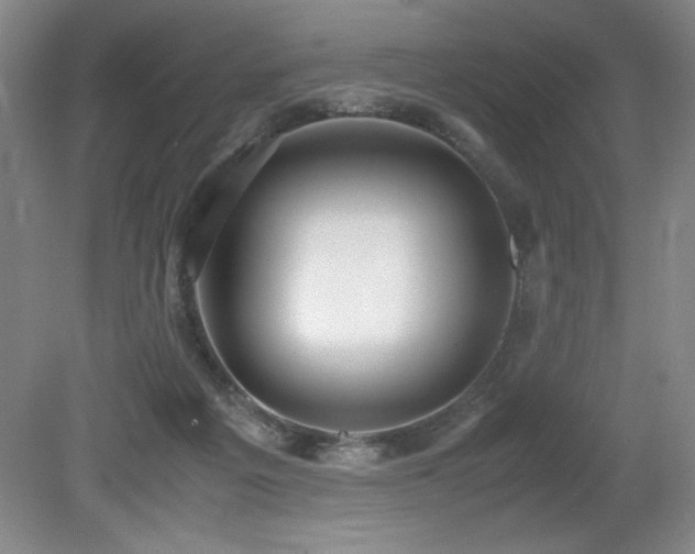 X0000079320217200611171131