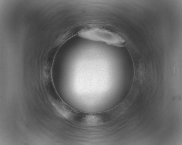 X0000079320218200611171131