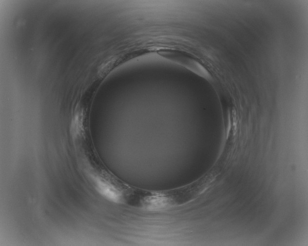 X0000079320219200611171131