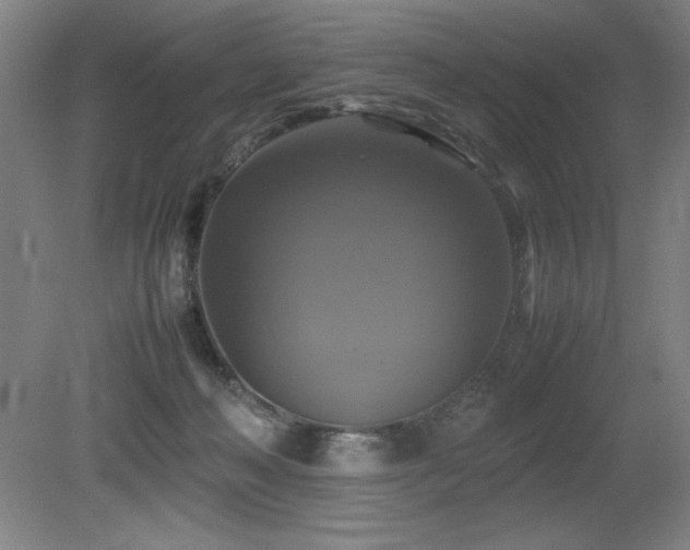 X0000079320222200611171131