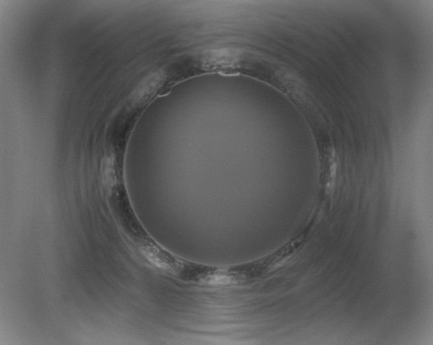 X0000079320224200611171131