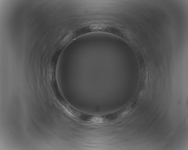 X0000079320227200611171131