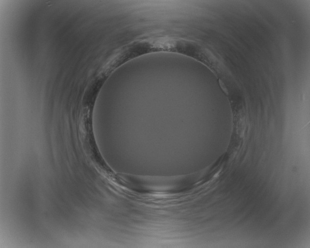 X0000079320229200611171131