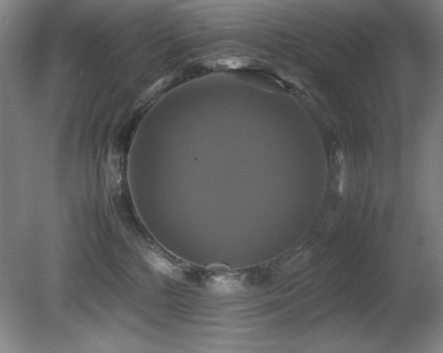 X0000079320232200611171131