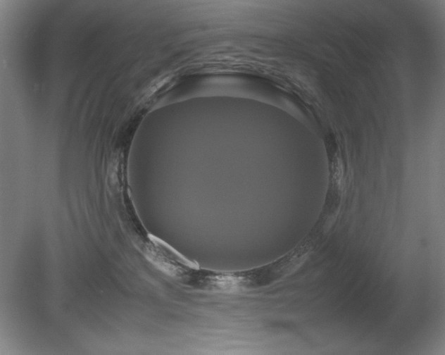 X0000079320233200611171131