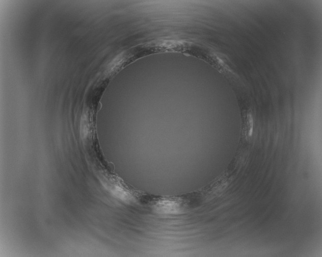 X0000079320236200611171131