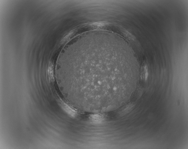 X0000079320238200611171131