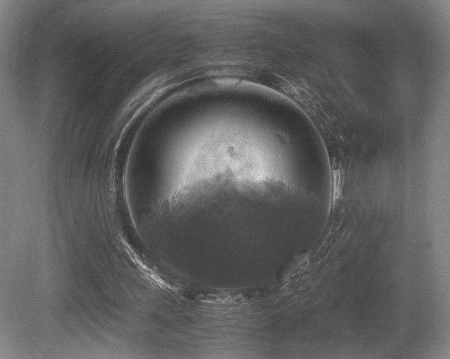 X0000079320243200611171130