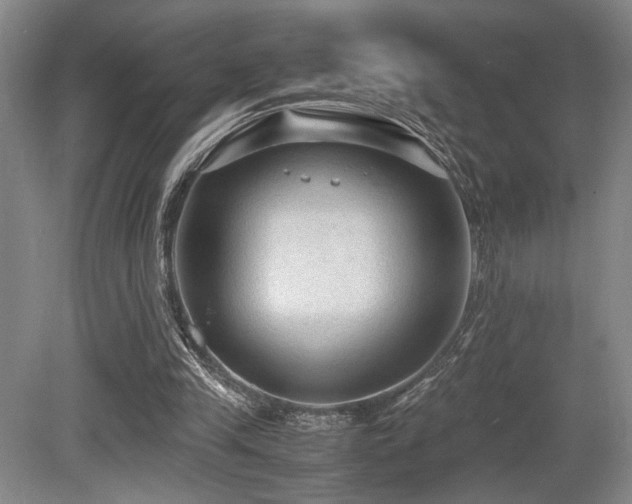 X0000079320245200611171130