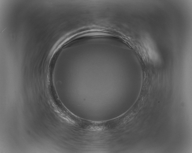 X0000079320247200611171130