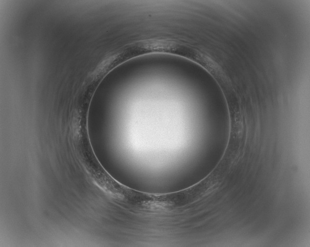 X0000079320255200611171130