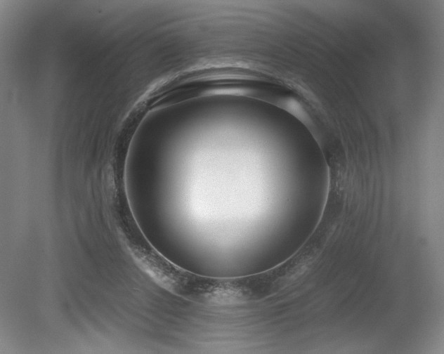 X0000079320256200611171130