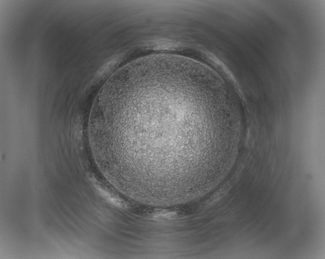 X0000079320257200611171130