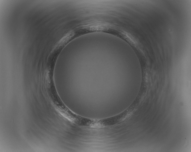X0000079320258200611171130