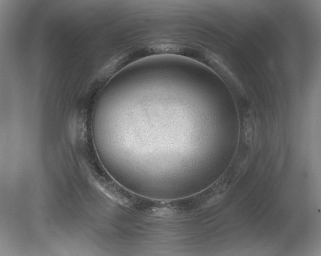 X0000079320259200611171130