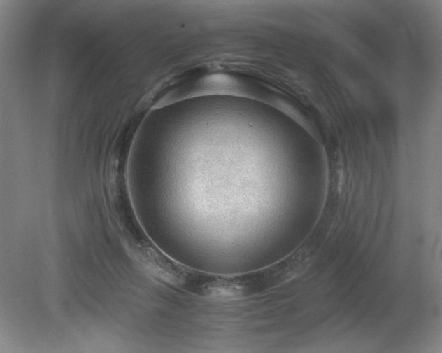 X0000079320263200611171130