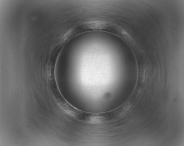 X0000079320268200611171131