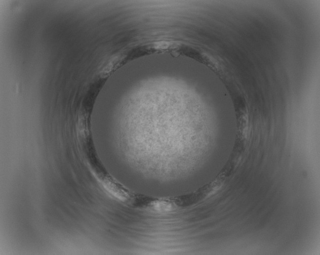 X0000079320272200611171131