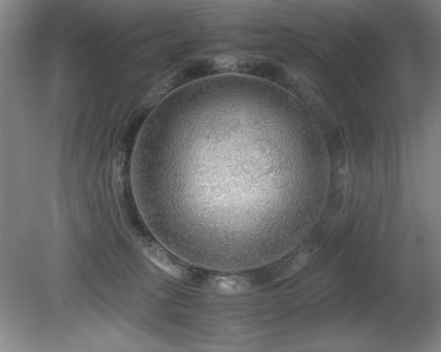X0000079320275200611171131