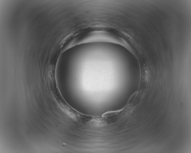 X0000079320280200611171131