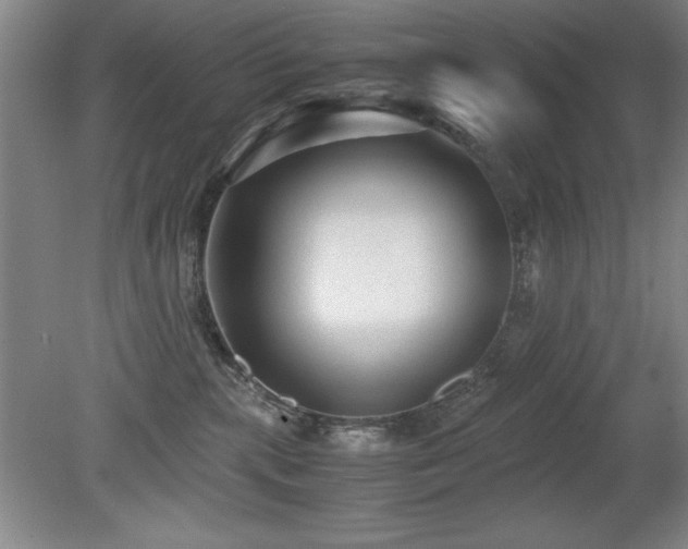 X0000079320283200611171131