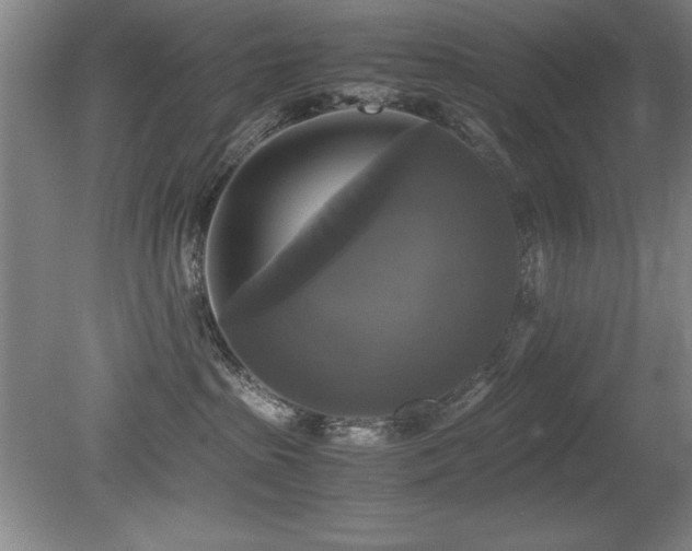 X0000079320285200611171131