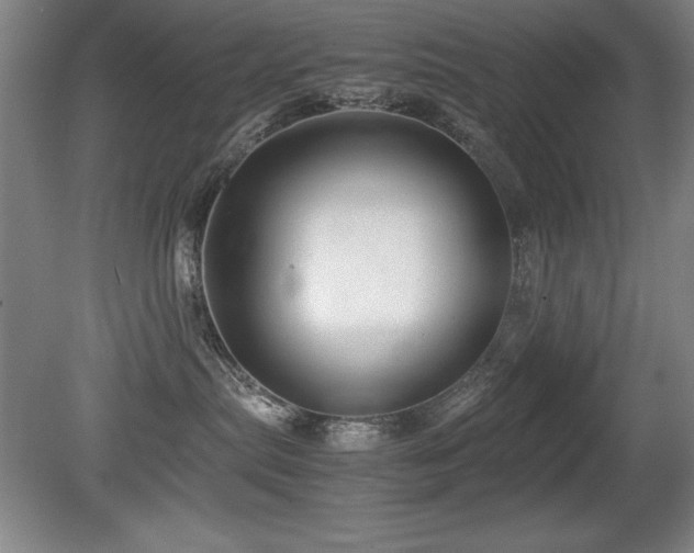 X0000079320287200611171131