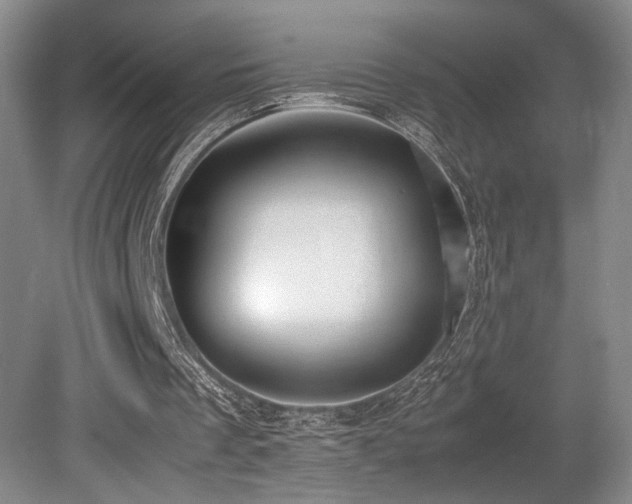 X0000079320289200611171130