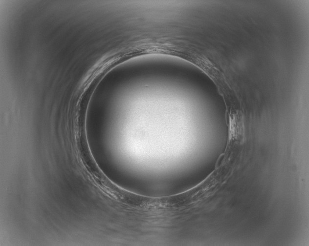 X0000079320291200611171130