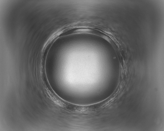 X0000079320293200611171130