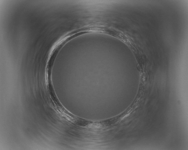 X0000079320294200611171130