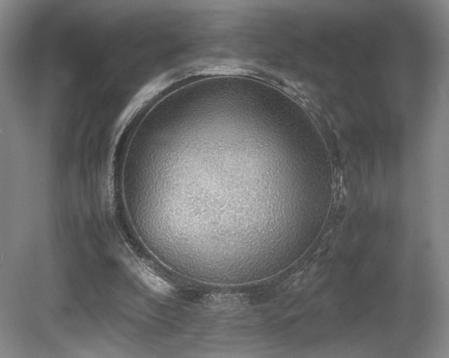 X0000079320296200611171130