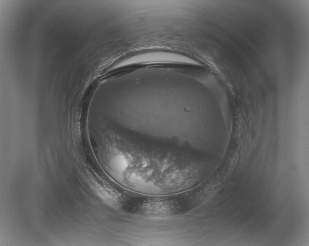 X0000079320299200611171130