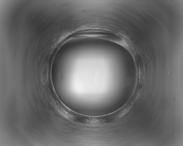 X0000079320301200611171130