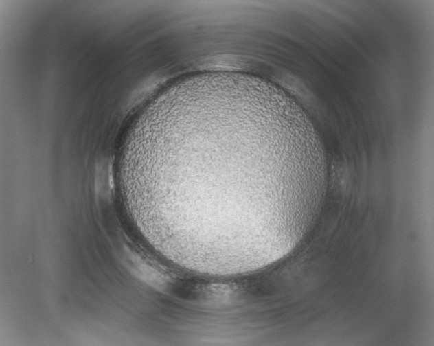 X0000079320302200611171130