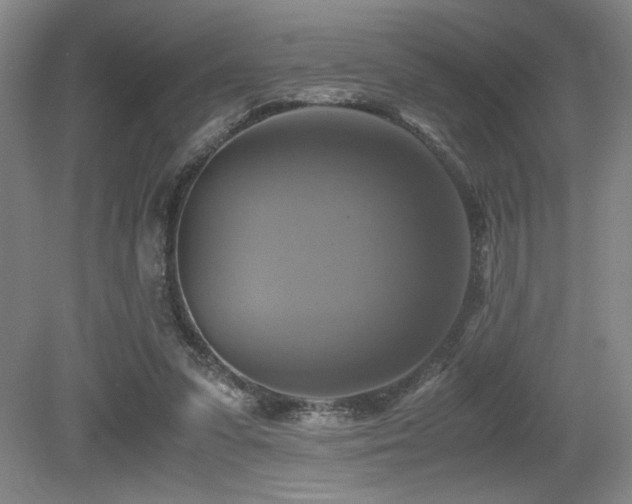 X0000079320303200611171130