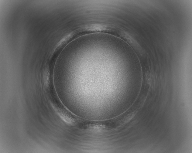 X0000079320304200611171130