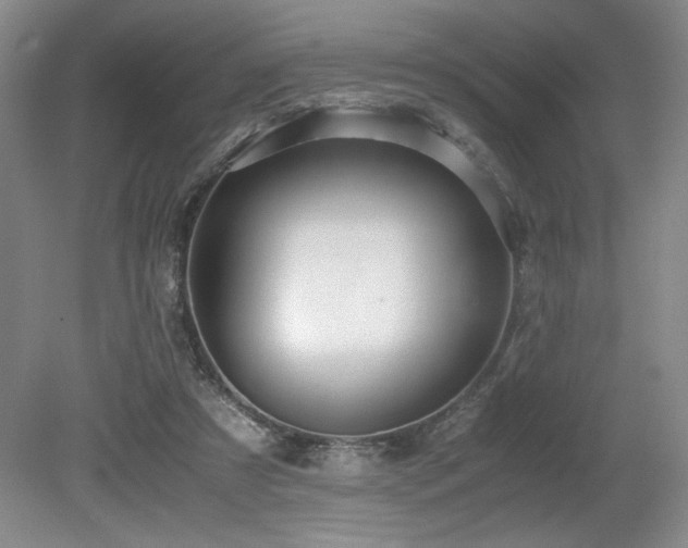X0000079320305200611171130