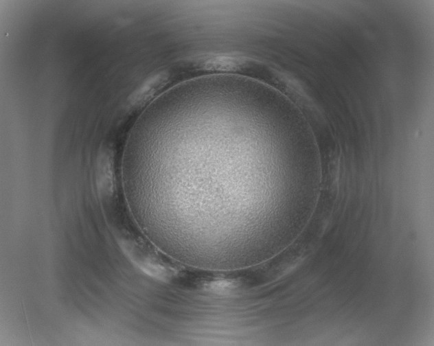 X0000079320312200611171130