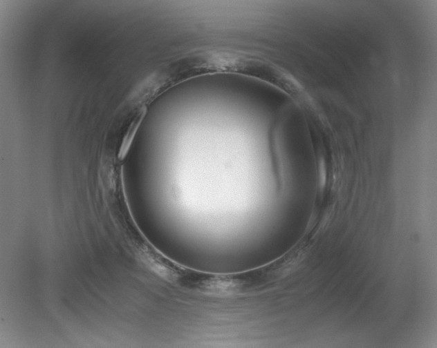 X0000079320313200611171130