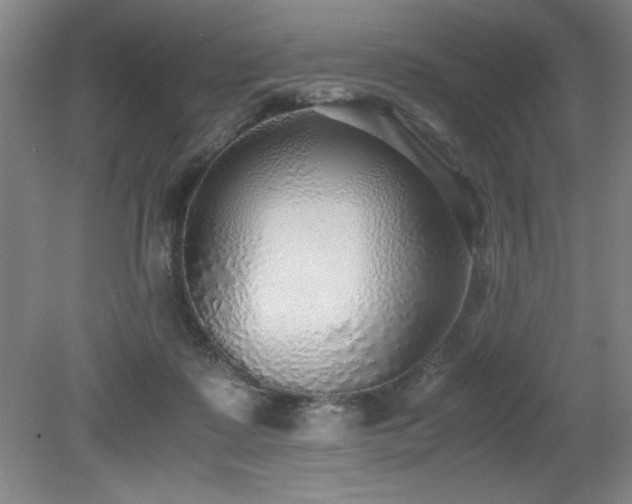 X0000079320315200611171130