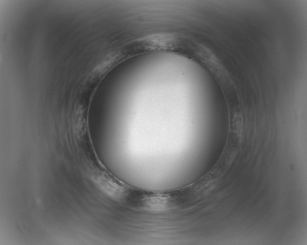 X0000079320318200611171130