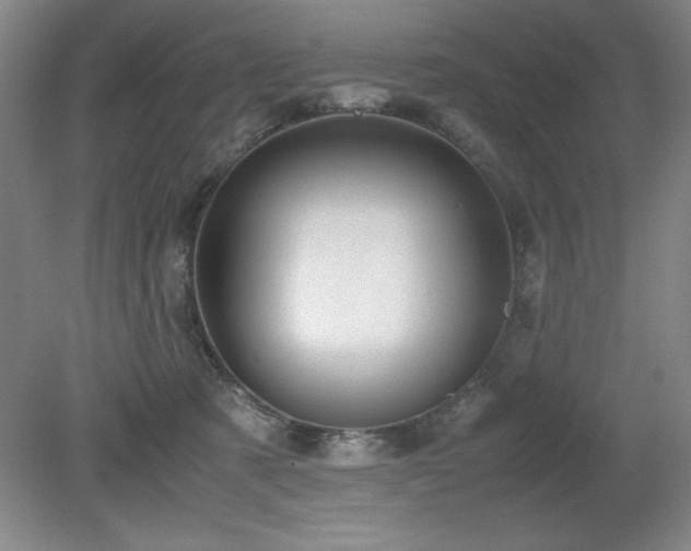 X0000079320321200611171130