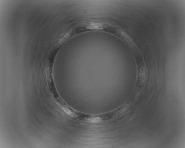 X0000079320322200611171130