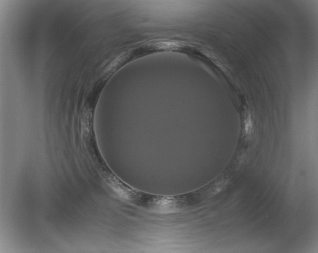 X0000079320325200611171129