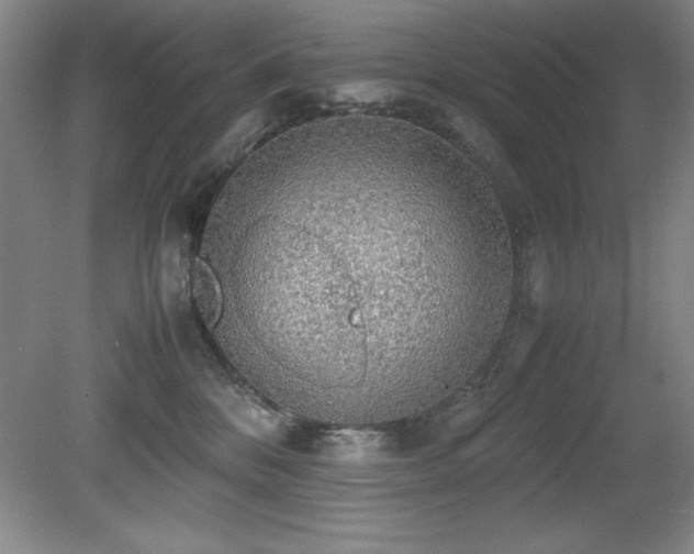 X0000079320328200611171129